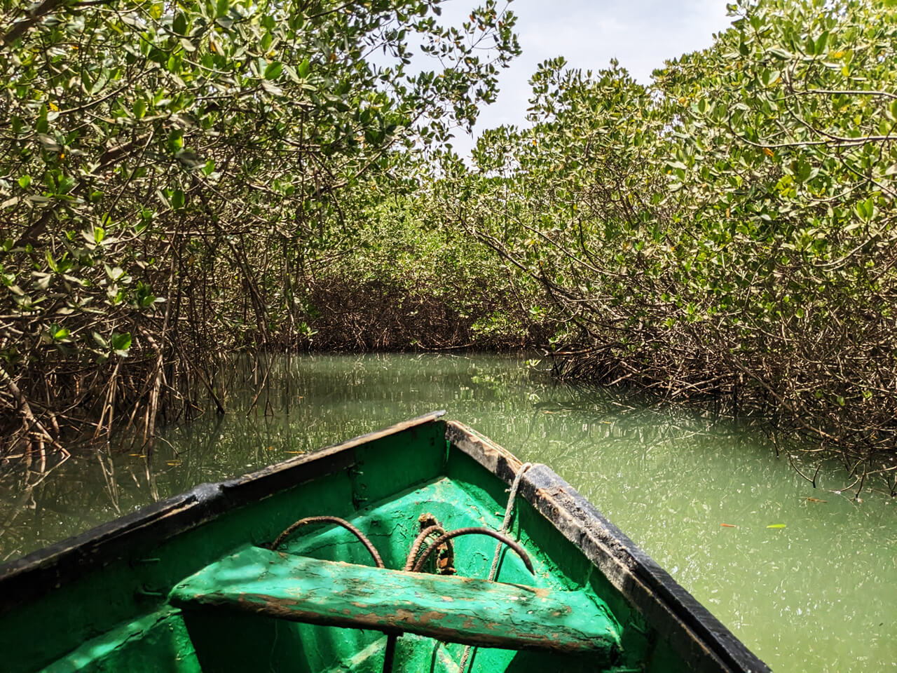 exploring somone lagoon senegal 1