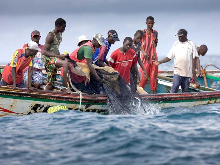 Arrivée des Pêcheurs à Mbour