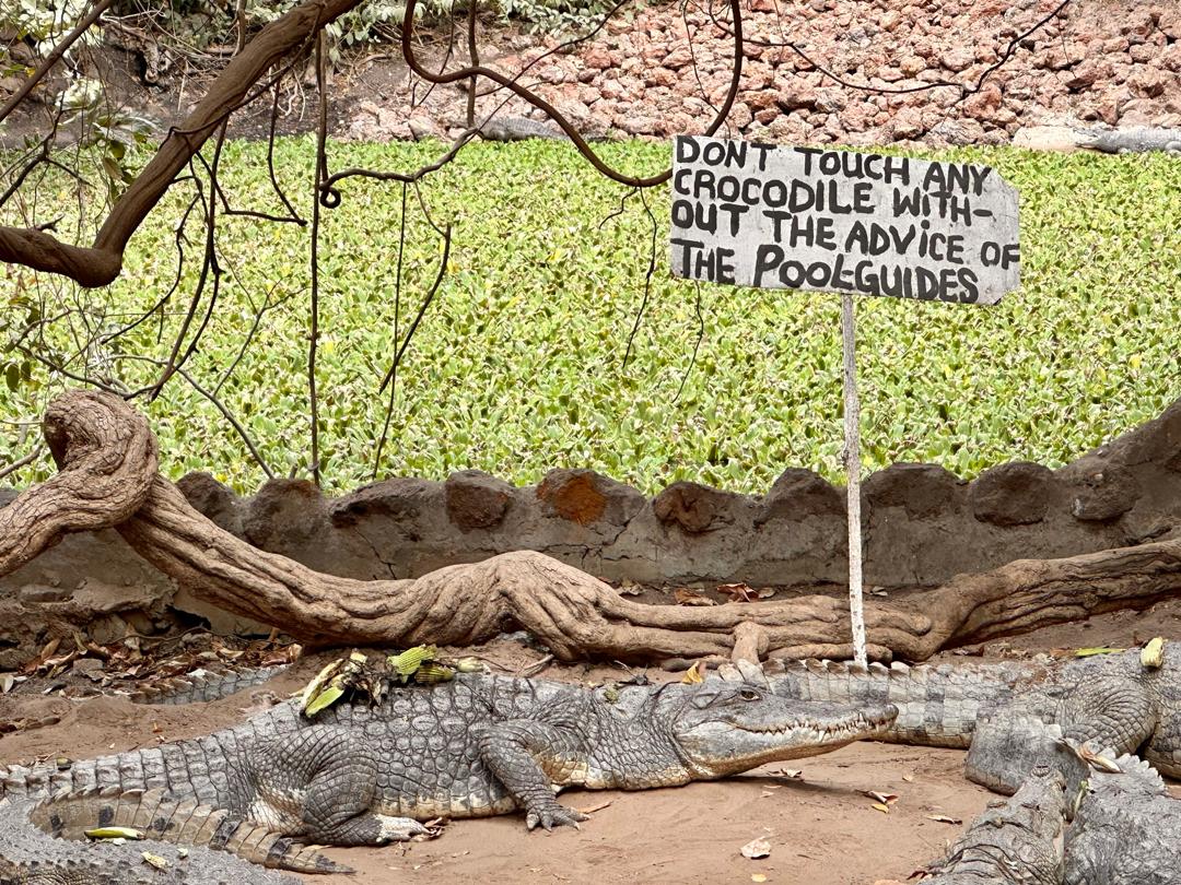 Excursion Kachikally Gambie