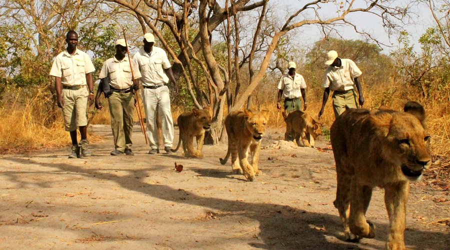 Excursion à la Réserve de Fathala